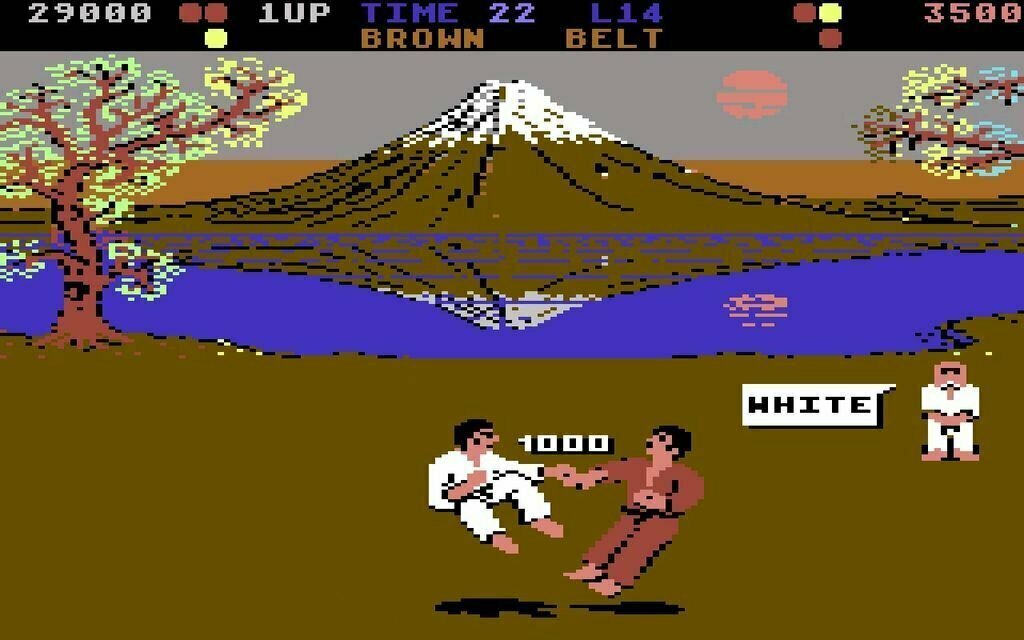 International Karate Screenshot